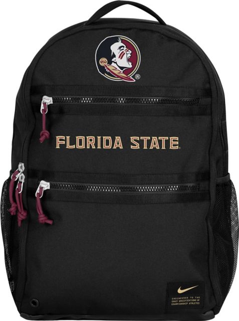 FSU, Florida State Nike Pegasus 40 Shoe