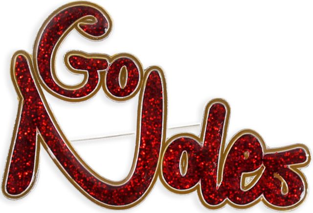 Florida State University Slogan Pin