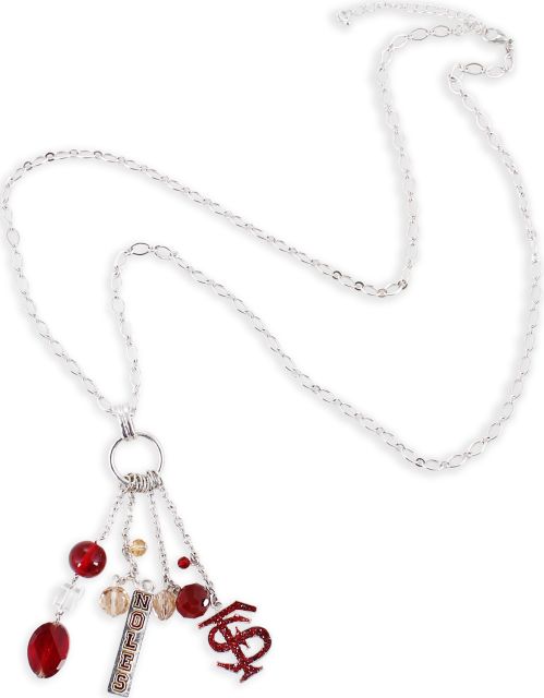 Florida State University 30'' Cluster Necklace