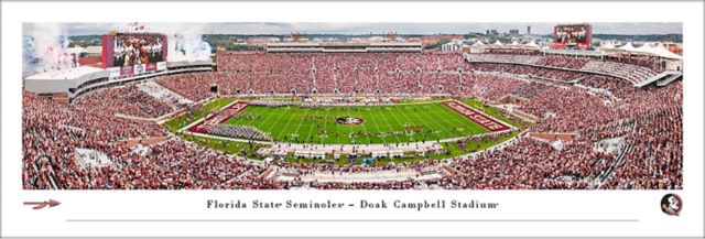 Florida State University Seminoles 13.5'' x 40'' Tubed Football Stadium Print