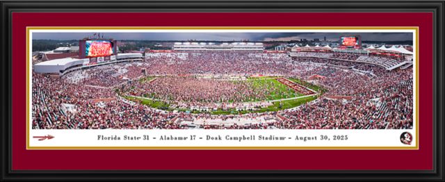 Florida State University Seminoles 18'' x 44'' Football Stadium Deluxe Framed Print