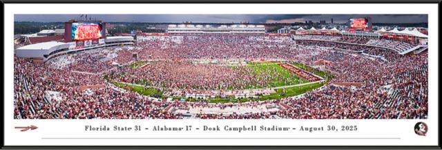Florida State University Seminoles 13.5'' x 40'' Football Stadium Print