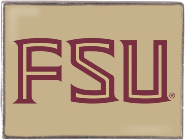 Foxboro Rectangular Lapel Pin