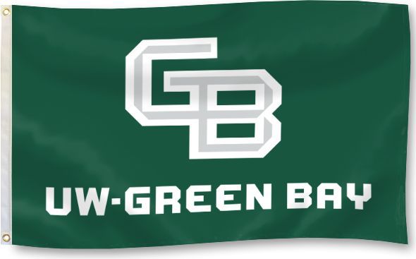 Green Bay Packers Small NFL Pennant 5 X 15 