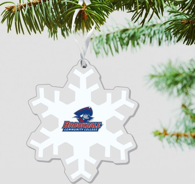 Brookdale Community College Jersey Blues 3'' x 4'' Ornament