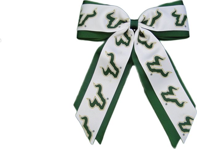 University of South Florida Child Cheer Pony