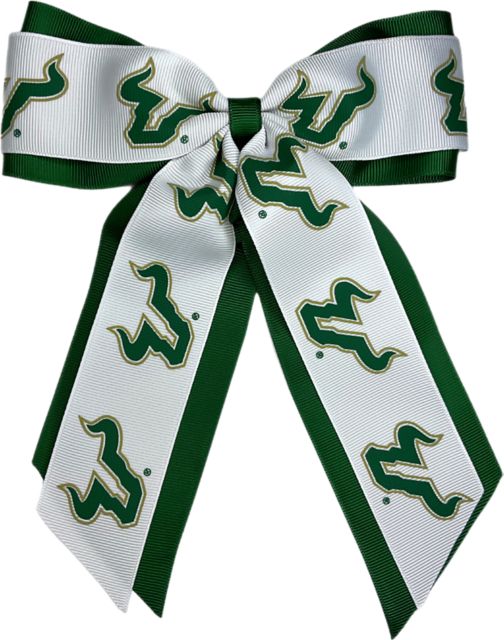 University of South Florida Child Cheer Pony