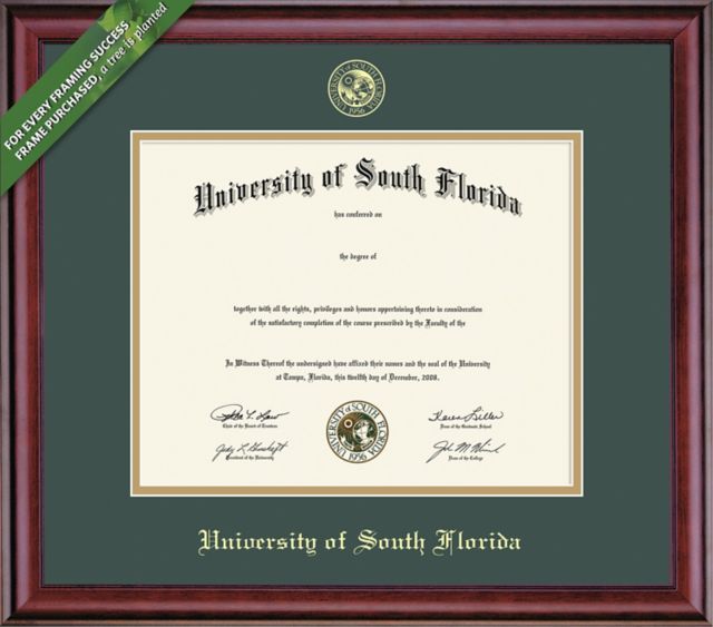 University of South Florida 11'' x 14'' Classic Diploma Frame