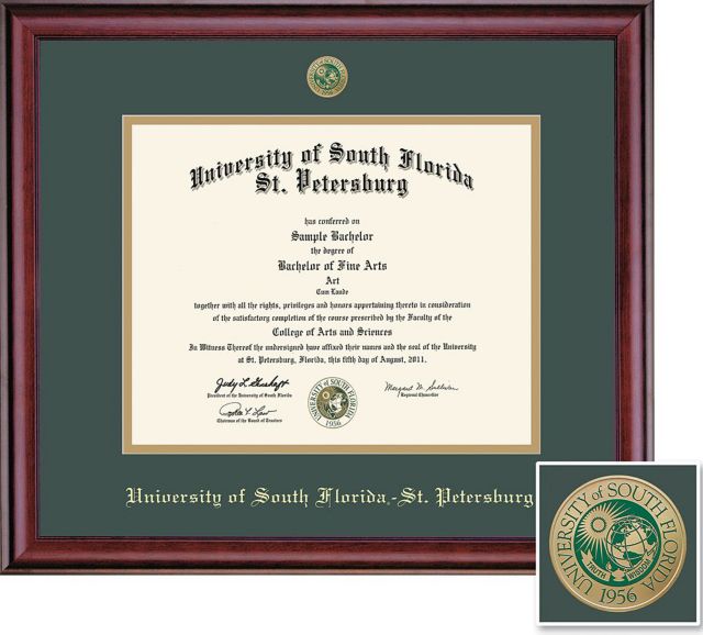 University of South Florida 11'' x 14'' Classic Diploma Frame