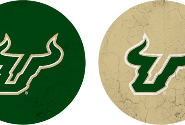 University of South Florida Bulls Car Coasters - 2 Pack