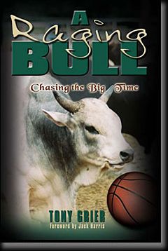 A Raging Bull: Chasing the Big Time by Tony Grier