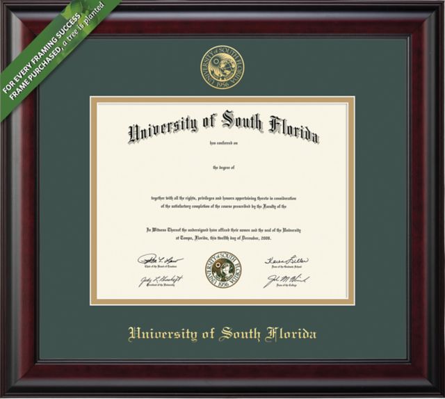 Framing Success Classic 8.5 x 11 BA Diploma with Double mat