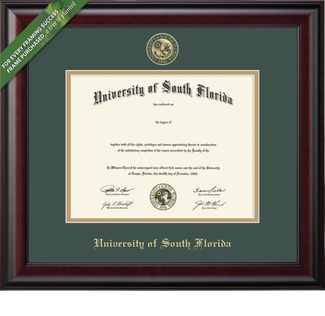 Framing Success Classic 8.5 x 11 BA Diploma with Double mat