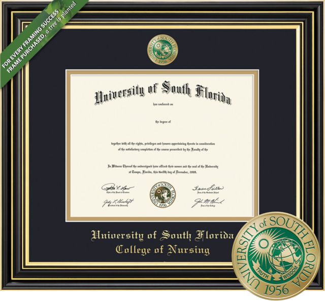 Framing Success Prestige 8.5 x 11 BA Nursing Diploma with Double mat and Enameled Medallion