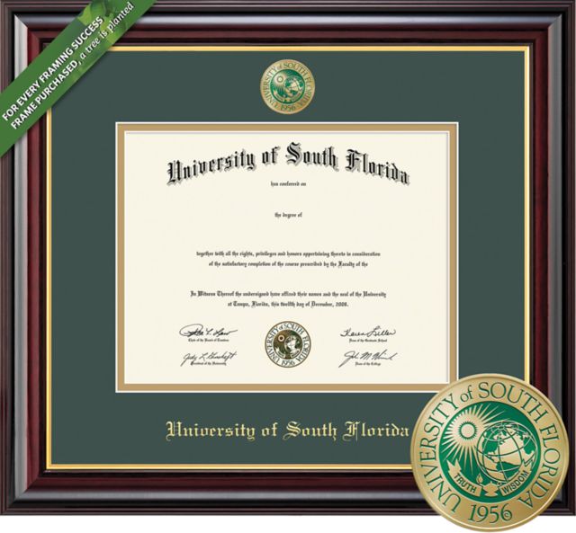 Framing Success Windsor 8.5 x 11 BA Diploma  with Double mat and Enameled Medallion