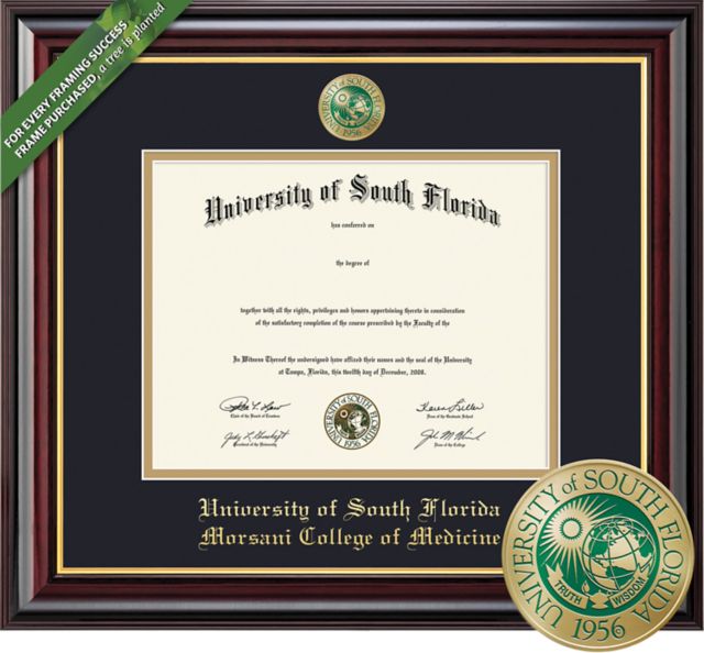 Framing Success Windsor 11 x 14 MD Diploma  with Double mat and Enameled Medallion