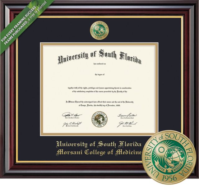 Framing Success Windsor 11 x 14 MD Diploma  with Double mat and Enameled Medallion