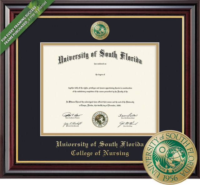 Framing Success Windsor 11 x 14 MA/PhD Nursing Diploma  with Double mat and Enameled Medallion
