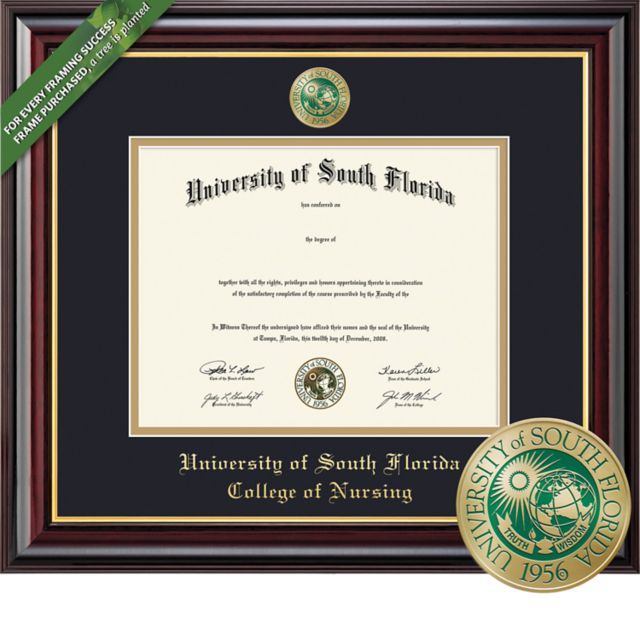 Framing Success Windsor 11 x 14 MA/PhD Nursing Diploma  with Double mat and Enameled Medallion