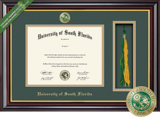 Framing Success Windsor 11 x 14 MA/PhD Diploma and Tassel Cut-out with Double mat and Enameled Medallion