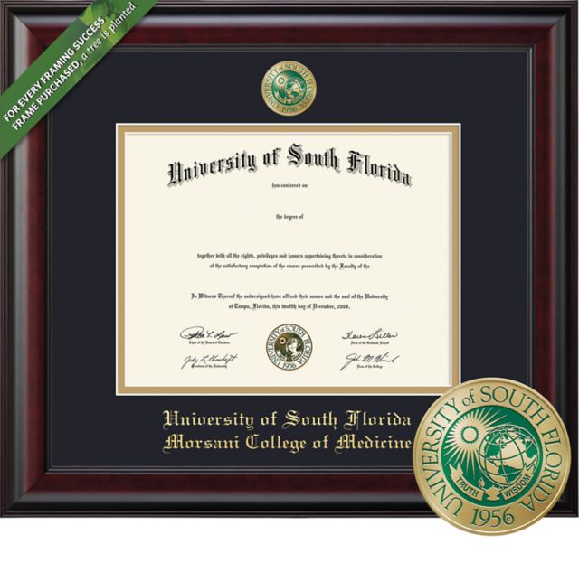 Framing Success Classic 11 x 14 MD Diploma  with Double mat and Enameled Medallion