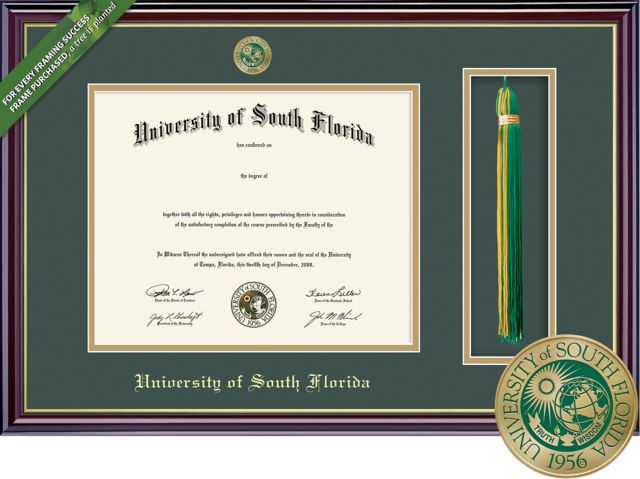 Framing Success Windsor 8.5 x 11 BA Diploma and Tassel Cut-out with Double mat and Enameled Medallion