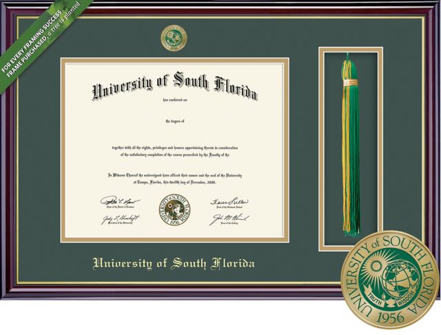 Framing Success Windsor 8.5 x 11 BA Diploma and Tassel Cut-out with Double mat and Enameled Medallion