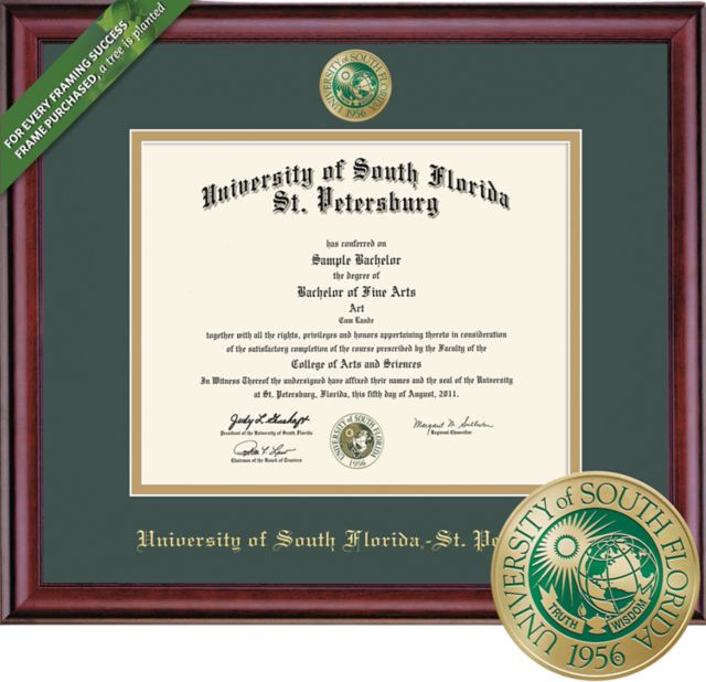 Framing Success Classic 8.5 x 11 BA Diploma  with Double mat and Enameled Medallion