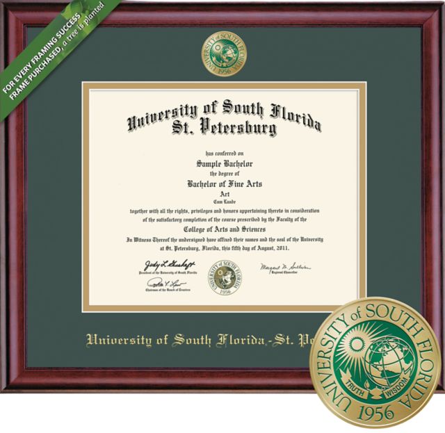 Framing Success Classic 8.5 x 11 BA Diploma  with Double mat and Enameled Medallion