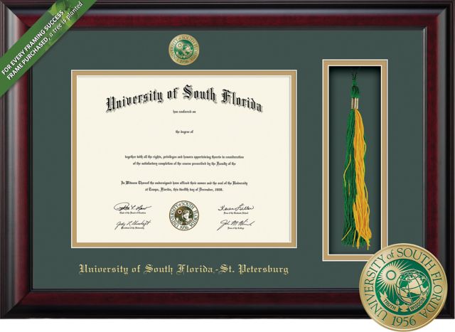 Framing Success Classic 8.5 x 11 BA Diploma and Tassel Cut-out with Double mat and Enameled Medallion