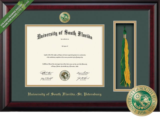 Framing Success Classic 8.5 x 11 BA Diploma and Tassel Cut-out with Double mat and Enameled Medallion