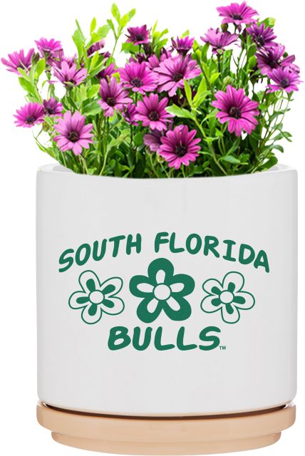University of South Florida Bulls Flower Ceramic Planter