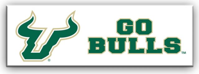 University of South Florida Magnet