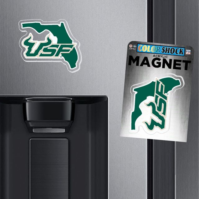 University of South Florida Magnet