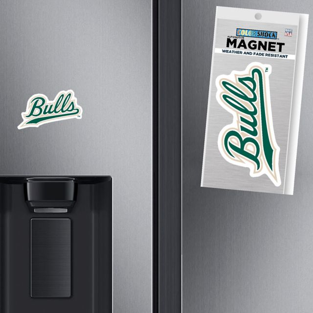 University of South Florida Bulls Mini Magnet