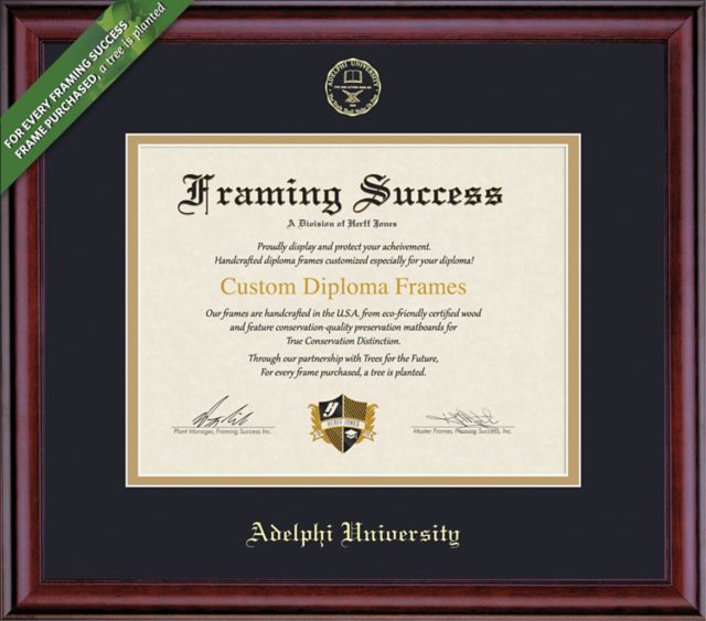 Adelphi University 8'' x 10'' Classic Diploma Frame