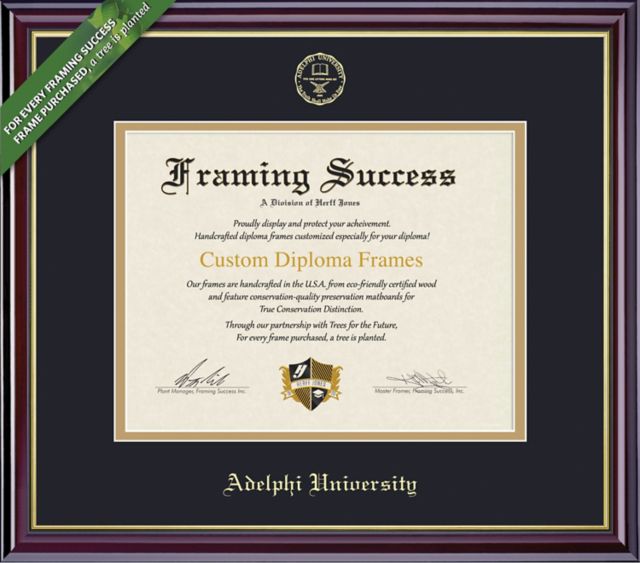 Adelphi University 8'' x 10'' Windsor Diploma Frame