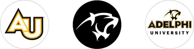 Adelphi University Panthers Mini Button - 3 Pack