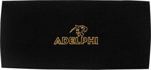 Adelphi University Ear Band