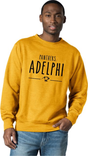 Adelphi University Panthers Therma-Fit Hooded Sweatshirt