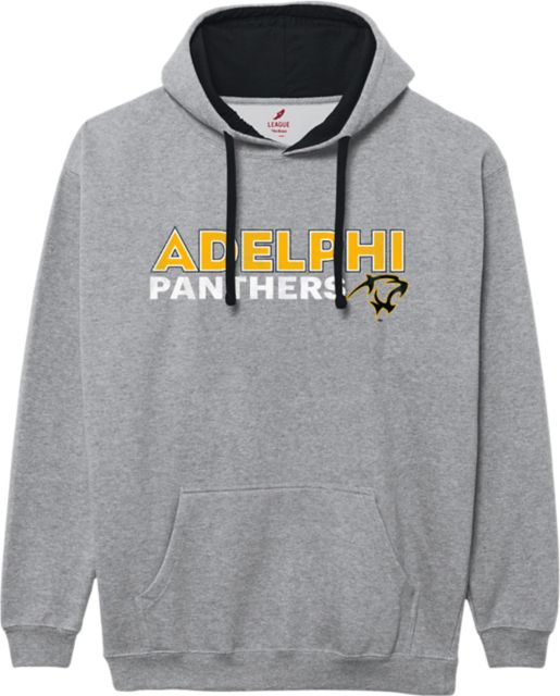 Adelphi University Panthers Colorblock Hooded Sweatshirt