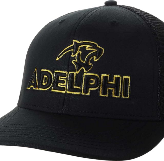 Adelphi University Snapback Cap