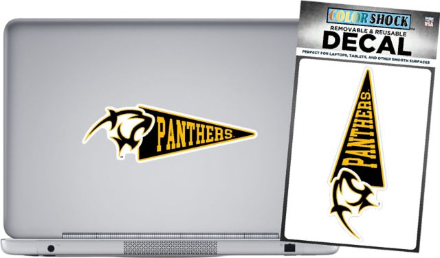Adelphi University Panthers 42 Sq In. Removable Decal