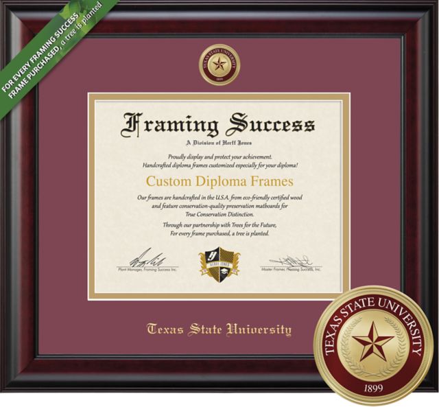 Framing Success Classic 11 x 14 Diploma with Double mat and Enameled Medallion