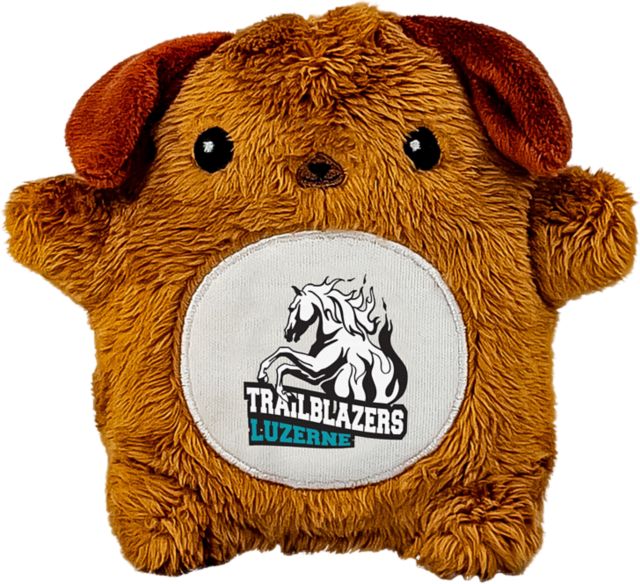 Luzerne County Community College Blaze 4.5'' Fancake Plush