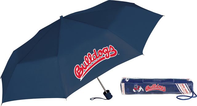 Fresno State 42" Umbrella
