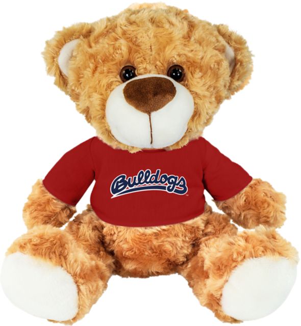 Fresno State 10 in. Plush Bear