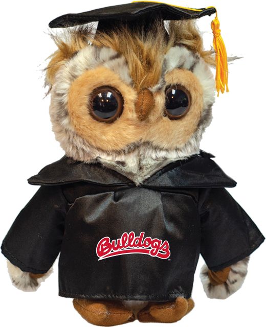 Fresno State 8'' Graduation Owl