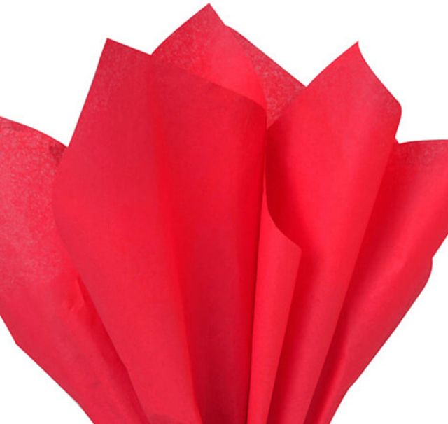 California State University Fresno 24-Count Tissue Paper Pack