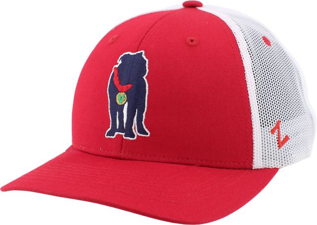 Fresno State Bulldogs Cap